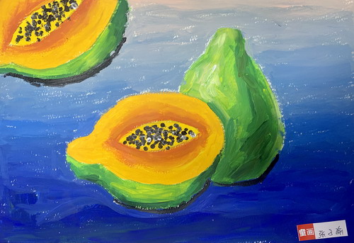 木瓜创意画获奖