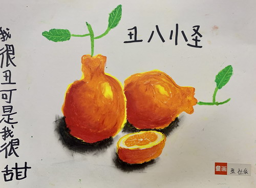 丑橘创意画获奖