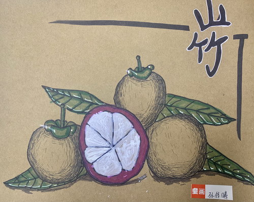 山竹写生手绘画