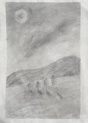 星空绘画获奖作品