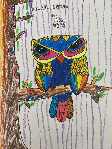 聪明的老鹰六年级绘画