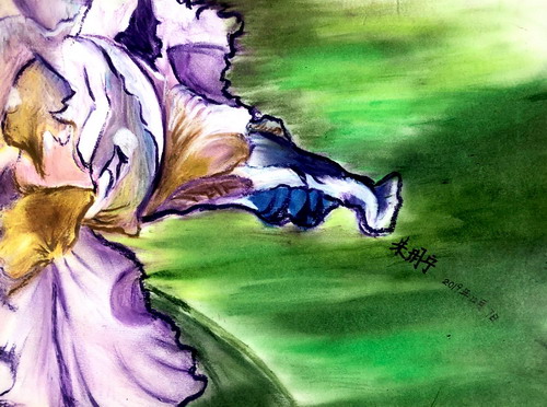 浓烈绘画获奖作品