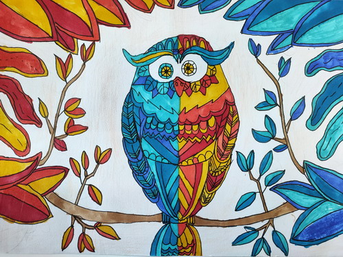 猫头鹰眼中的色彩绘画漂亮
