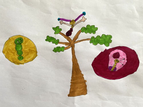 毛毛虫的橡果盒子一年级绘画