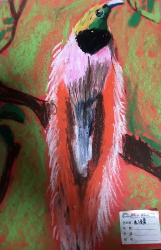 天堂鸟小学生绘画