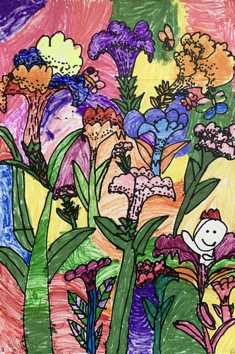 鸡冠花手绘图片