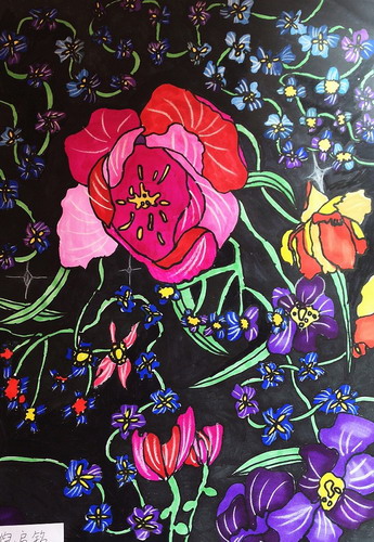 秘密花园绘画获奖作品