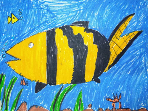 小丑鱼画简单又漂亮