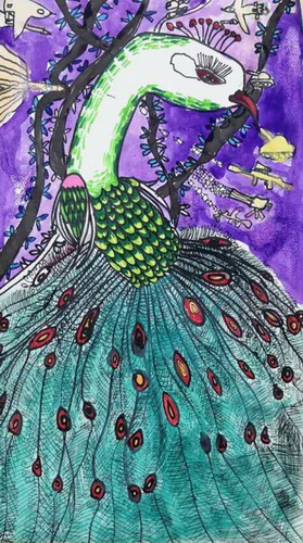 孔雀儿童绘画获奖