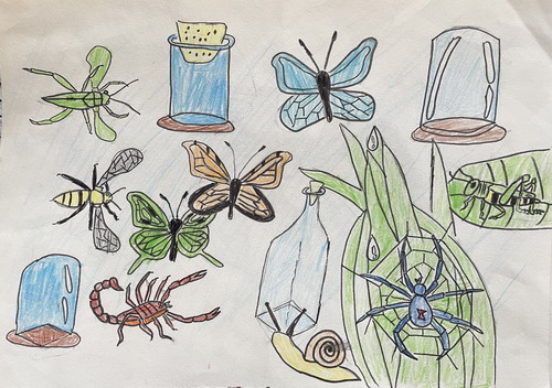 昆虫创意画简单好看