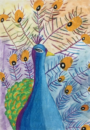 我的家乡画画作品