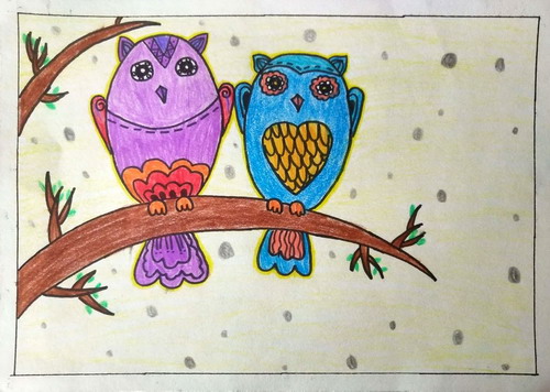 猫头鹰创意画获奖