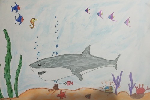 凶猛的大白鲨儿童画图片