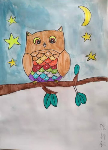 猫头鹰创意画获奖