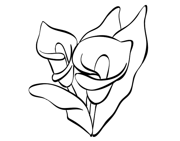 百合花简笔画图片