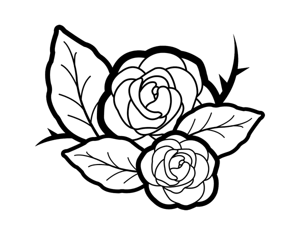 两朵玫瑰简笔画图片