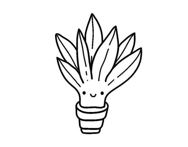 迷你芦荟简笔画图片