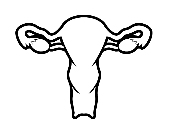 输卵管线稿图片