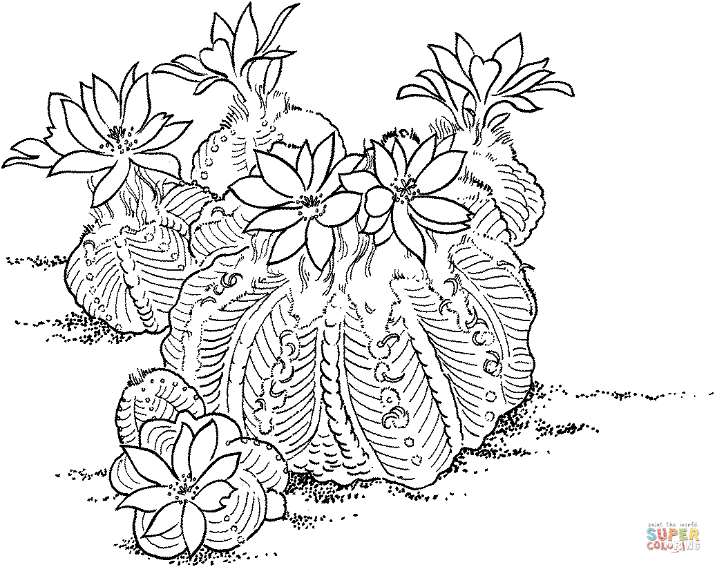 仙人掌简笔画图片