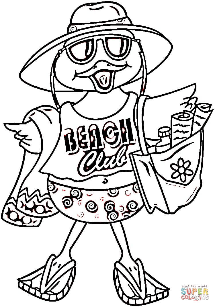 海滩鸟简笔画图片