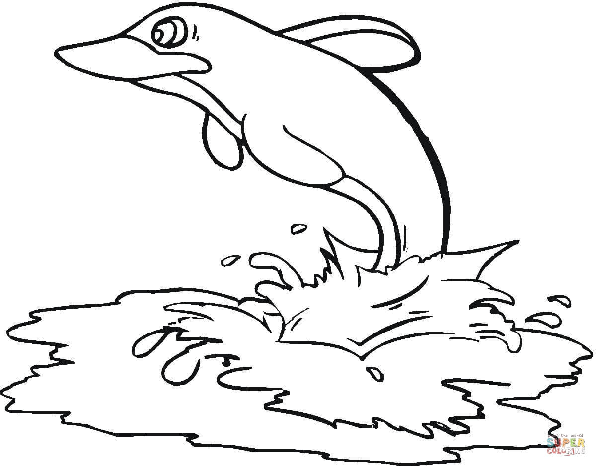 海豚简笔画图片