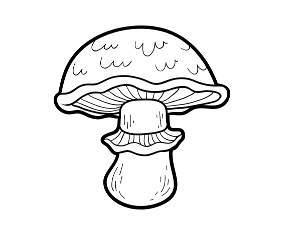 蘑菇填色图片带星星的月亮填色图片蘑菇简笔画图片灰色骑士蘑菇色页面