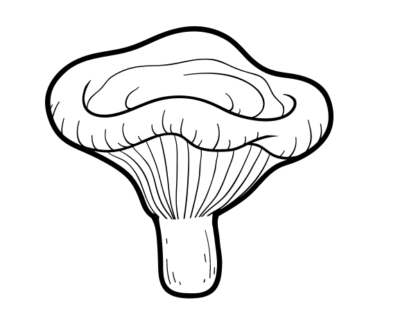 西菌简笔画图片