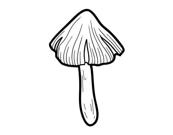 灰色骑士蘑菇色页面