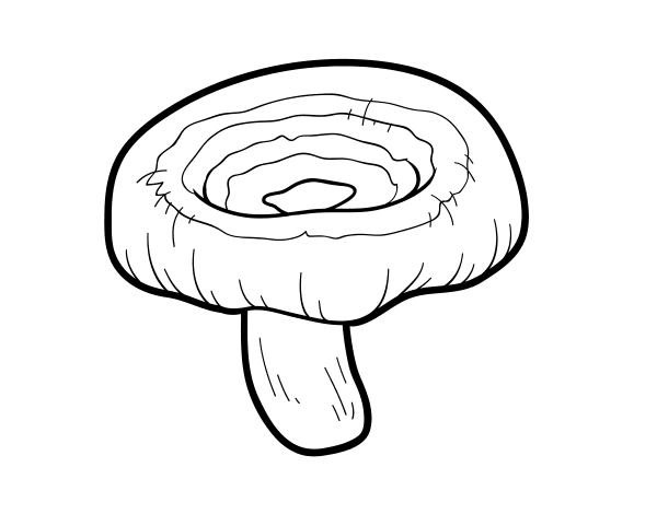 乳菇填色图片