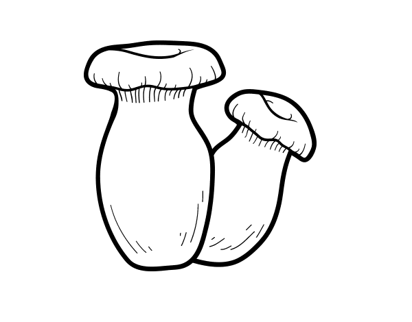 大号蘑菇简笔画图片