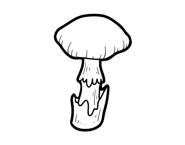 死亡帽蘑菇简笔画图片