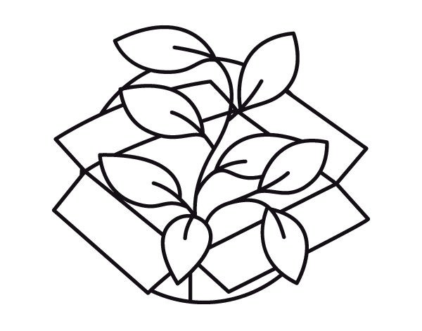 生态植物简笔画图片