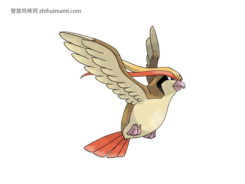 Pidgeot