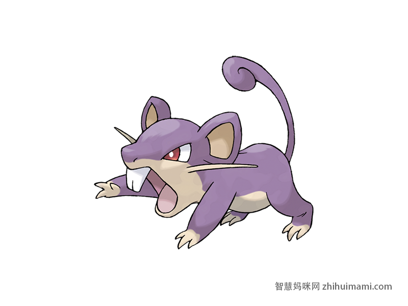 Rattata