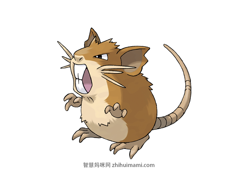 Raticate