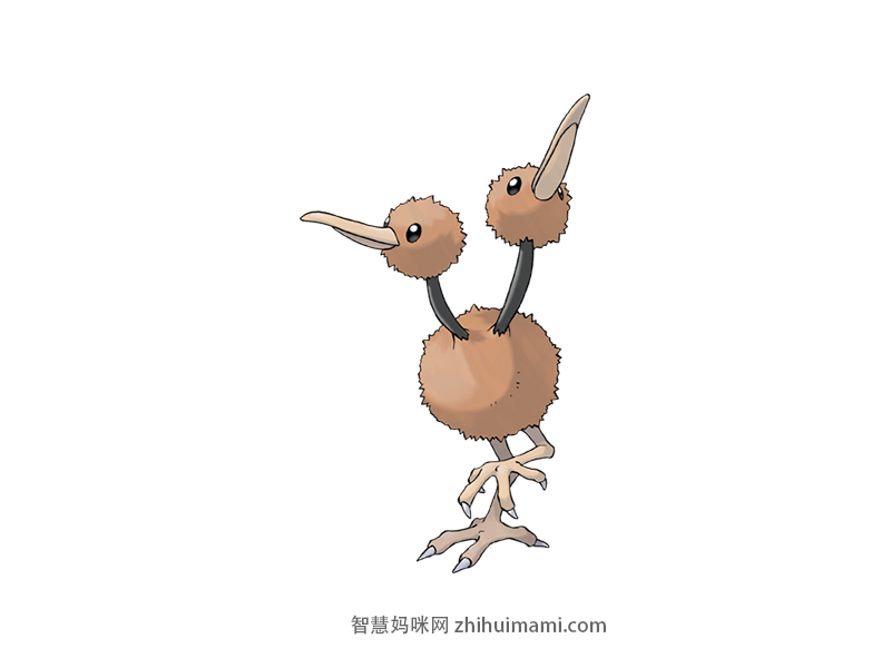 Doduo