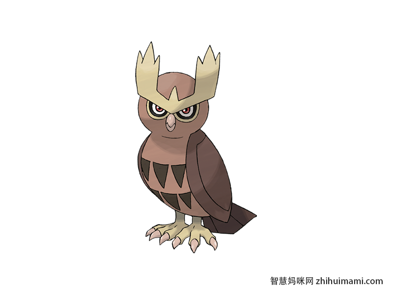 Noctowl