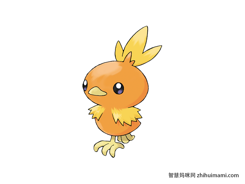 Torchic