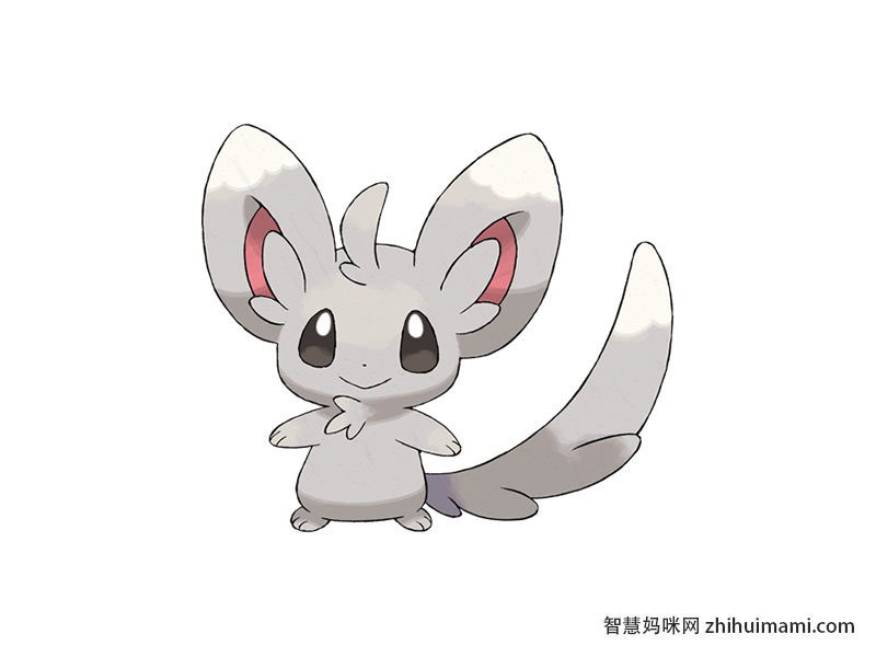 Minccino