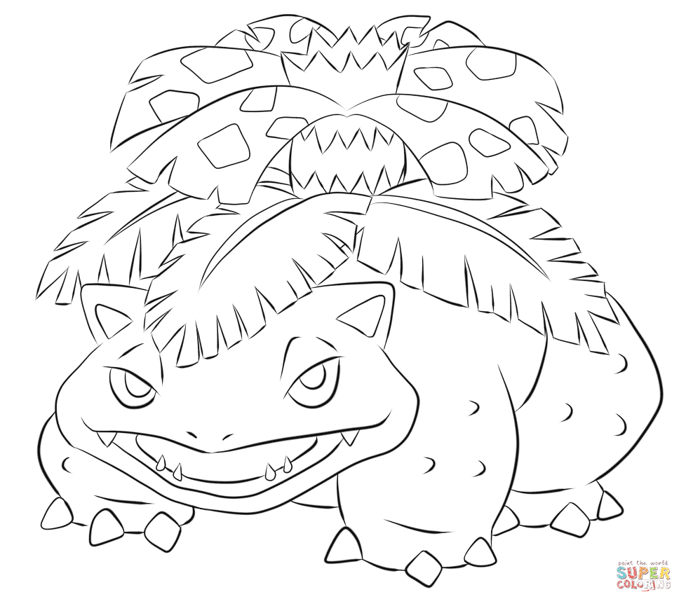 精灵宝可梦第一代-妙蛙花图片