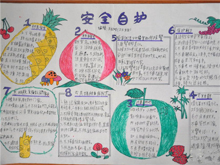 安全教育手抄报：遇到蜂窝别乱捅