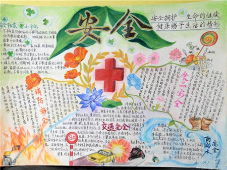 安全教育手抄报：如何预防台风的破坏