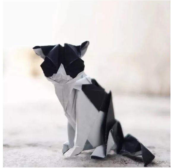 狐狸、乌龟动物折纸 办公室折纸图解大全