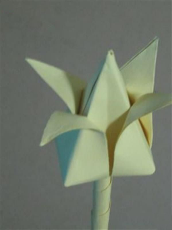 教你使用彩纸手工DIY郁金香花卉的纸艺折叠步骤图教程 _www.zhizuoxi.com